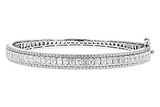 E273-65253: BANGLE 4.19 E.C. 5.30 TW